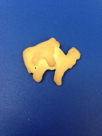 So I was eating some animal crackers