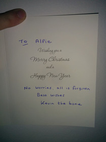 So my dog bit the postman earlier this year this is his Christmas card