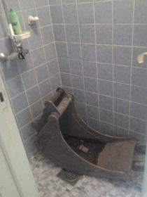 So my friend had a party last night he found this in the shower today