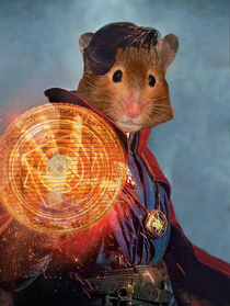 So my friend works in a lab in Copenhagen and they use hamster cells for whatever theyre working on They were all naming their work spaces benches She asked me what she should name her bench and after spitballing a few ideas I came up with Benedict Hamste