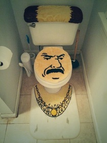 So this is our houses new toilet seat set
