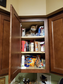 So this is where we keep the snacks