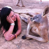 So while were talking about kangaroos this picture popped up on my newsfeed