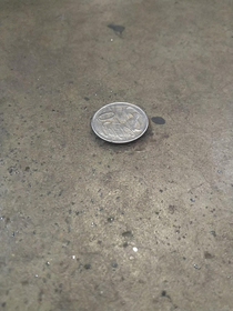 Some guy superglued a coin onto the ground