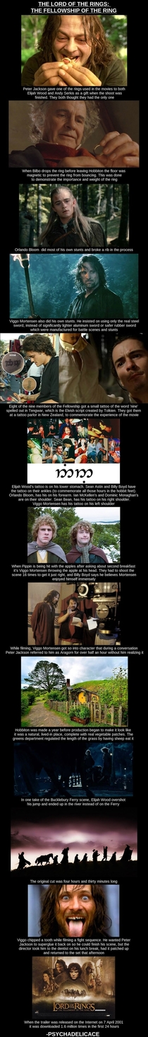 Some Lord of the Rings Movie Trivia