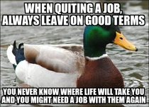 Some strong advice for those looking to quit their job in pursuit of something more