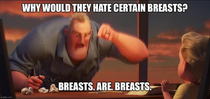 Somebody tried to say that men wouldnt actually want women going topless to be legal because not all the breasts shown in public would be perfect perky healthy young breasts