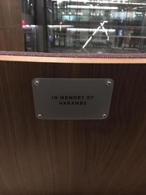 Someone bought a chair at ASUs Law School for a good cause In Memoriam