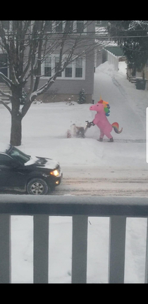 Someone in the neighborhood dons a unicorn costume while snow blowing and this is the kind of community I want
