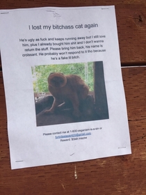 Someone lost their cat at my school and this is how they notified their peers