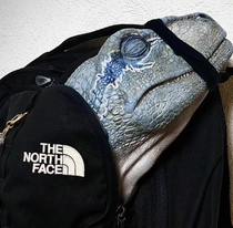 Someone made this backpack after watching Jurrasic World 