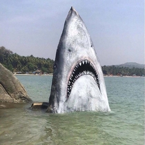 Someone painted this rock to make it look like a real shark 
