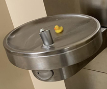 Someone put a rubber duck in one of the water fountains