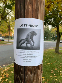 Someone put up this flier in my old home town