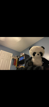 Sometimes my girlfriend leaves her stuff animals on FaceTime with me when she steps away for a second I dont like the way this panda is looking at me