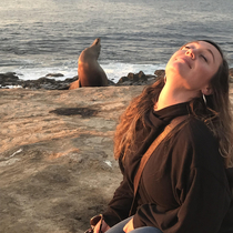 Sometimes you just need to sit in the sun and look fabulous This sea lion gets it