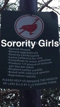 Sorority girls