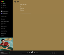 Spotify provides the complete lyrics to Miserlou