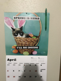 Spring is here This months calendar picture Ironic