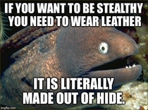 Stealthy Leather