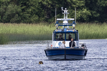 Stena the first walrus ever to reach Finnish shores got a police escort