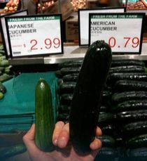 Stereotypical Cucumbers