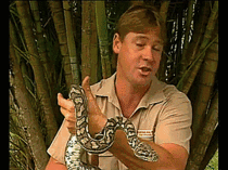 Steve Irwins reaction to being bitten by a snake