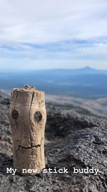 Stick buddy found on Mt Adams