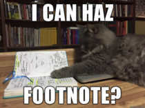 Studious Cat is well annotated