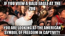 Sudden Clarity Clarence american freedom