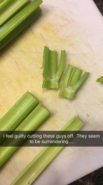 Surrendering Celery