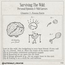 Surviving The Wild - VIII