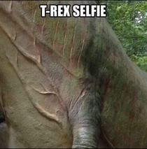 T-Rex Selfie Give the guy a  for effort