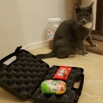 Tactical Tic Tac Kit Kat Kit Cat