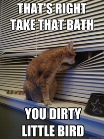 Take that bath