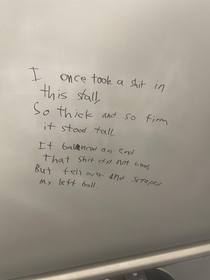 Tales From The School Bathroom