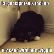 Target Locked