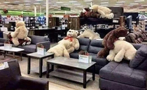 Teddy bears are really taking advantage of quarantine
