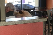 Tell me why I thought this ladys hair was a dog wearing sunglasses