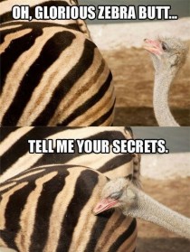 Tell me your secrets