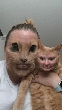 Terrifying face swap with my cat I honestly dont know which is more terrifying