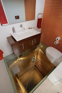 Terrifying ToiletToilet with glass floor over abandoned elevator shaft