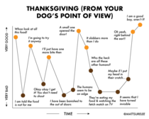 Thanksgiving from your dogs POV
