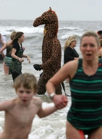 That feeling of panic when you realize youre being stalked by a beach giraffe