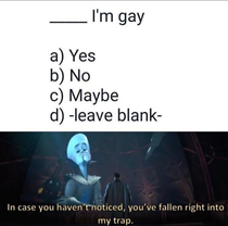That means youre gay right