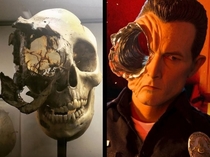 That skull deformation posted to rcreepy the other day reminded me of the T- headshot from Terminator 