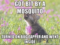 That will teach those mosquitoes