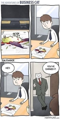 The adventures of Business Cat