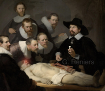 The anatomy lesson of Dr Tulp and me