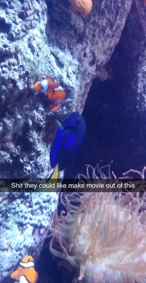 the aquarium can Inspire ideas
